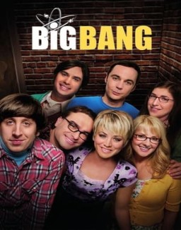 Big Bang temporada  8 online