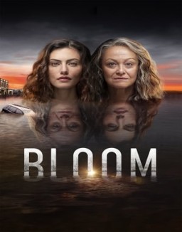 Bloom T1