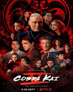 Cobra Kai T1