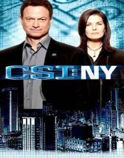 CSI: Nueva York temporada  8 online