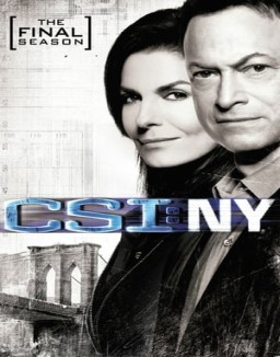 CSI: Nueva York stream