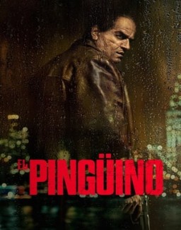 El Pingüino stream