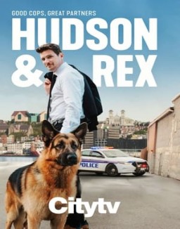 Hudson & Rex temporada  4 online