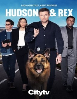 Hudson & Rex temporada  5 online