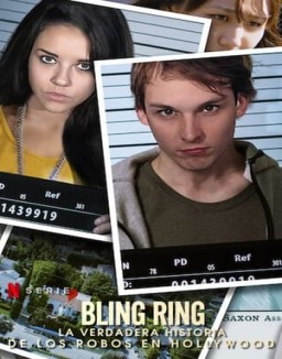 Los Bling Ring desvalijan Hollywood T1